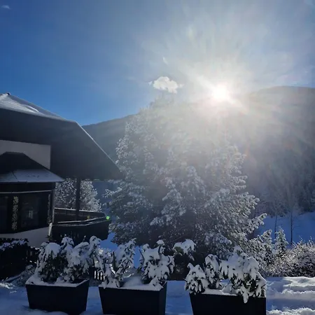 Apartment Haus Robi Wood Bad Kleinkirchheim