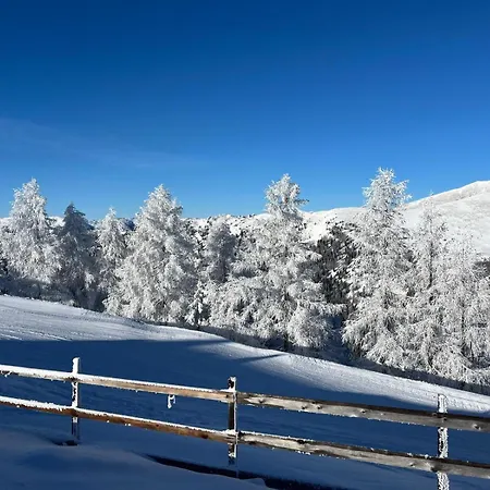 Haus Robi Wood Bad Kleinkirchheim