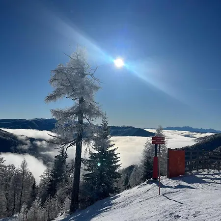 Haus Robi Wood Apartment