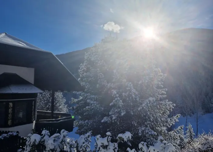 Apartment Haus Robi Wood Bad Kleinkirchheim