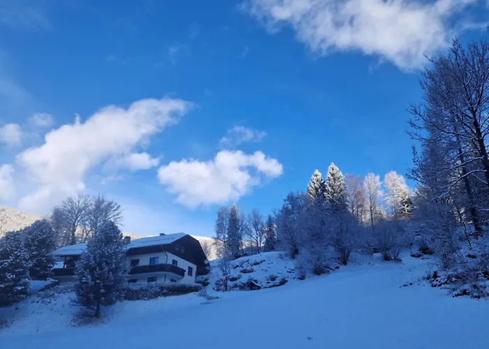 Haus Robi Wood Bad Kleinkirchheim