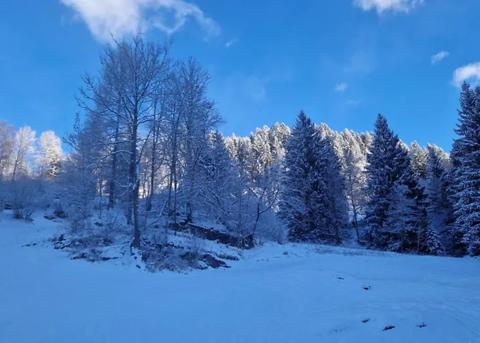 Haus Robi Wood 아파트