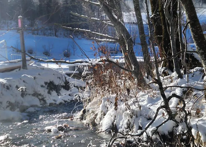 Haus Robi Wood 아파트