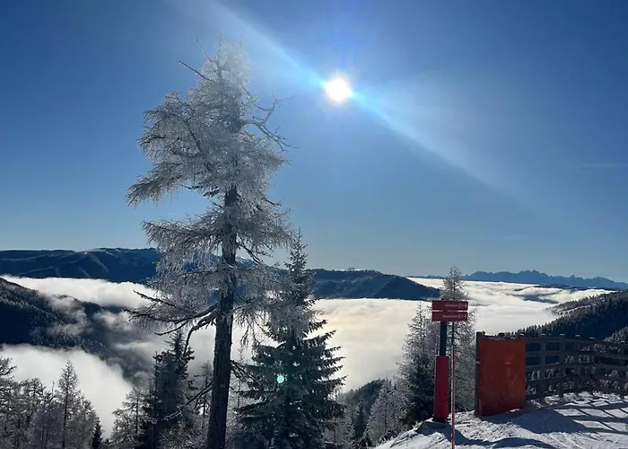 Haus Robi Wood 아파트